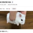 파도PC | 주경야독의 삶.