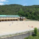 순창군승마장 이미지