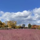 미사경정공원 이미지