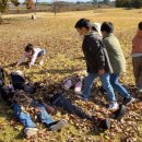 죽산초교병설유치원 이미지