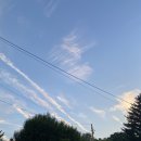 효원로265번길~인게로138번길 | 2025년 6월 마지막 주의 기록 : 스플렌더 최고!