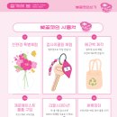 2024 경주 대릉원돌담길 벚꽃축제 이미지