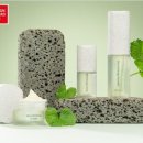 국제종합카써비스 이미지