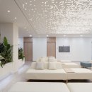 365제주의원 이미지