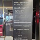 (주)플러스윈 | 칼트윈액티브 시공 모델Y 주니퍼 썬팅후기 완전 만족도 최상