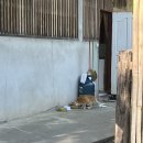 송도로이약국 | D-day +5. 호시하나 체크아웃. IROOM 체크인, 아아 한잔. 마야몰에서 JOURNER, 림핑마트. 원님만 구경...