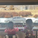 신도세탁 | 키즈 파타고니아 patagonia 사는 이유 사이즈 추천 후기