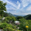 깊은산속맑은공기민박 | 전용 계곡 있는 경북 청도촌캉스펜션 추천 깊은산속맑은공기펜션