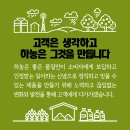 주식회사 하농