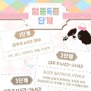 채움 동물병원 이미지