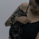 스튜디오이베르