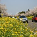 서호초등학교 병설유치원 이미지