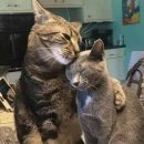 의료법인 청구성심병원 이미지