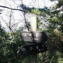 안심초등학교 이미지