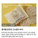테이쑤티