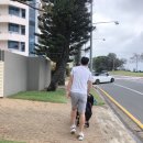 씨월드 피시 이미지