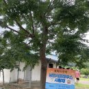 토박이민박 이미지