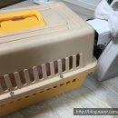 루씨루씨애견유치원 이미지