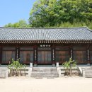 동화사 Daum카페