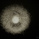 별님이네민박 이미지