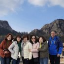 한마음2 이미지