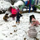 보람어린이집 이미지