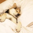 커피데이 이미지