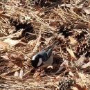 하늘바다 이미지