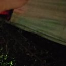 고현주유소 이미지