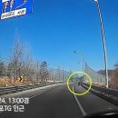 원곡다문화파출소 이미지