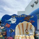 현창수산 - 고흥군 | 현창수산