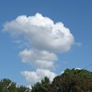 뭉개구름 이미지