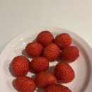 진주대로 주유소 | 겨울 제주여행 3일째, 집으로 돌아오는 길