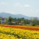 허브밸리(축제장) 이미지
