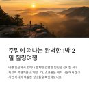 펜션비우고채우는숲 | 캠핑 감성 낭낭한 감성 펜션, 1박 2일로 충분해
