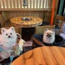 외양간식당 이미지