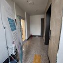 비다펠리즈 이미지