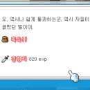 D00329 네이버블로그
