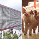 동은빌딩 이미지