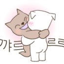 다육사랑화원 이미지