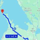 비버피시 이미지