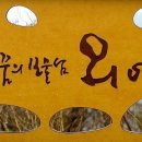 보물섬민박 이미지