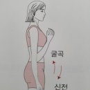 보디빌딩 구술검정 기능해부학 관련 기출문제 모음 이미지