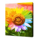 행운셀프 이미지