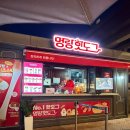 송정핫도그부산프리미엄 | 부산신세계아울렛 부산프리미엄아울렛 먹거리추천 명랑핫도그 먹어본후기