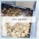 노을빛진산펜션 | 진산리 갯벌체험장 태안 아이와 조개잡이 후기, 동죽 맛조개 잘 나와요