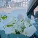 앙주드플레르 | 대구 북구 연경동 꽃집 앙주드플레르 촬영용부케 후기 / 가격 및 예약방법