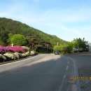 박달재자연휴양림 이미지