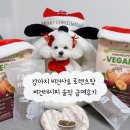 좋은하루팜 | 강아지 비건사료 로렌츠팜 비건레시피 솔직 급여후기