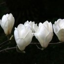 번영상회 이미지